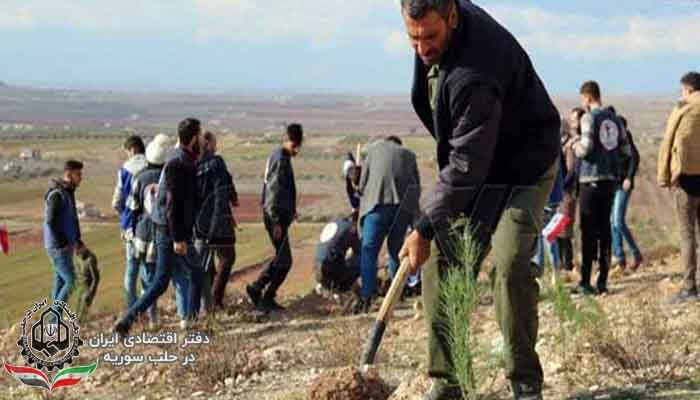 کاشت 3000 اصله درخت در مناطق آزاد شده ادلب
